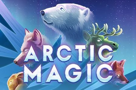 Arctic Magic Slot Game Free Play at Casino Ireland