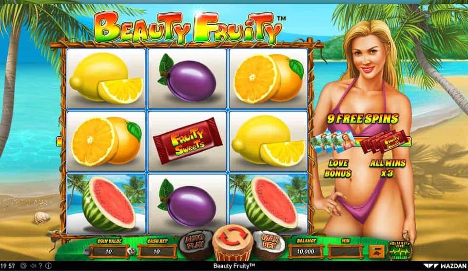 Beauty Fruity Slot Game Free Play at Casino Ireland 01