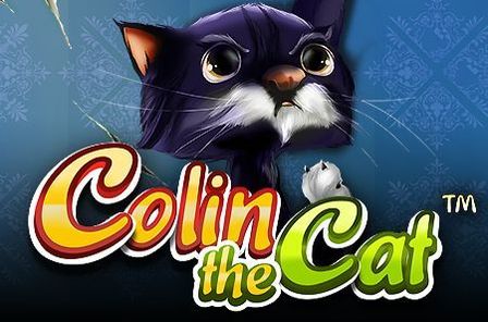 Colin the Cat Slot Game Free Play at Casino Ireland