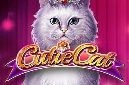 Cutie Cat Slot Game Free Play at Casino Ireland