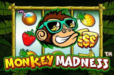 Monkey Madness Slot Game Free Play at Casino Ireland