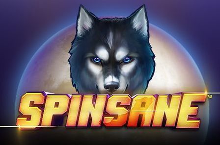 Spinsane Slot Game Free Play at Casino Ireland