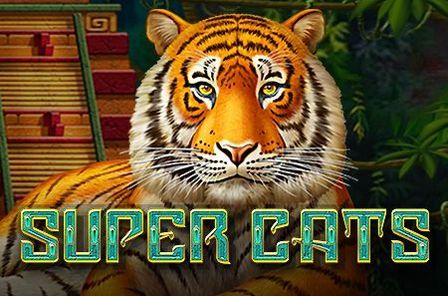 Super Cats Slot Game Free Play at Casino Ireland