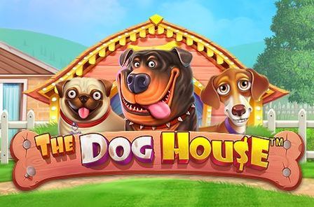 The Dog House Slot Game Free Play at Casino Ireland