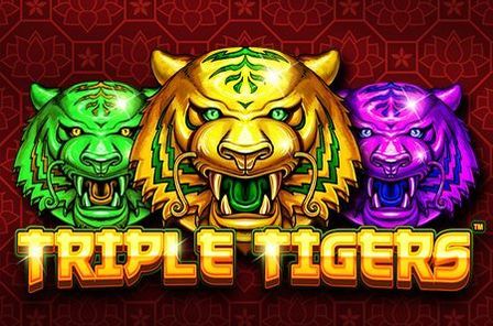 Triple Tigers Slot Game Free Play at Casino Ireland