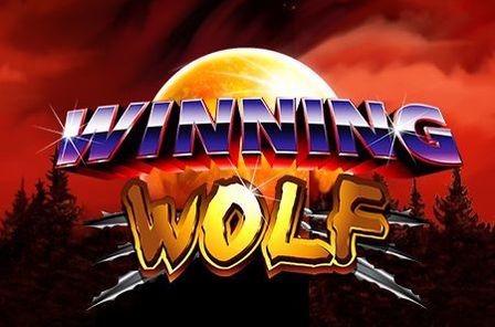 Winning Wolf Slot Game Free Play at Casino Ireland