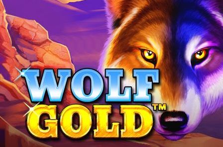 Wolf Gold Slot Game Free Play at Casino Ireland