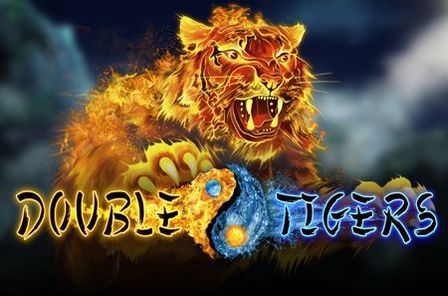 Double Tigers Slot Game Free Play at Casino Ireland