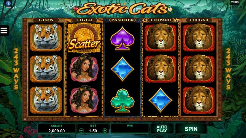 Exotic Cats Slot Game Free Play at Casino Ireland 01