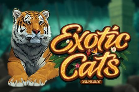 Exotic Cats Slot Game Free Play at Casino Ireland