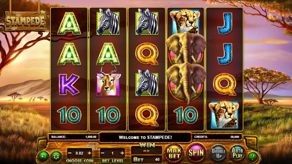 Stampede Slot Game Free Play at Casino Ireland 01