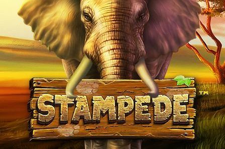 Stampede Slot Game Free Play at Casino Ireland