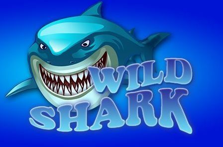 Wild Shark Slot Game Free Play at Casino Ireland