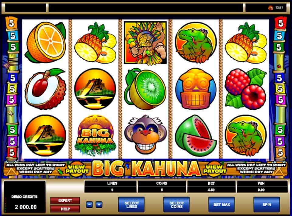 Big Kahuna Slot Game Free Play at Casino Ireland 01
