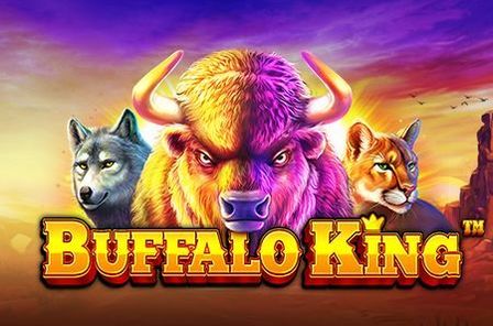 Buffalo King Slot Game Free Play at Casino Ireland