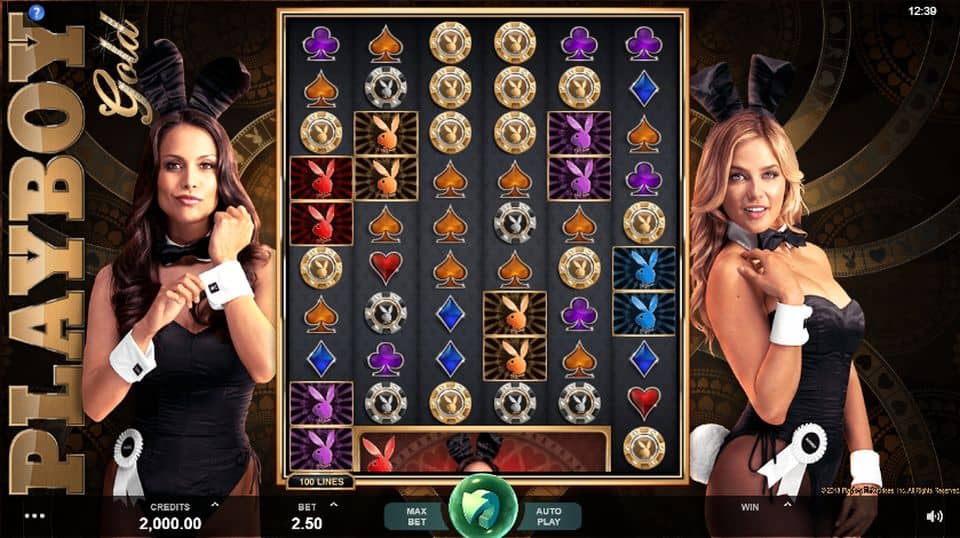 Playboy Gold Slot Game Free Play at Casino Ireland 01