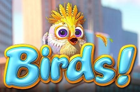 Birds Slot Game Free Play at Casino Ireland