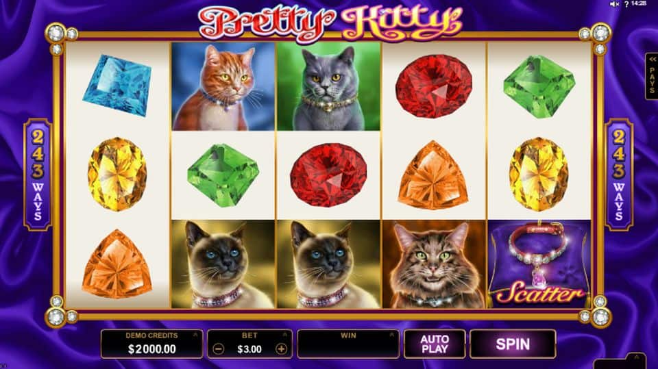 Pretty Kitty Slot Game Free Play at Casino Ireland 01