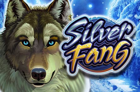 Silver Fang Slot Game Free Play at Casino Ireland