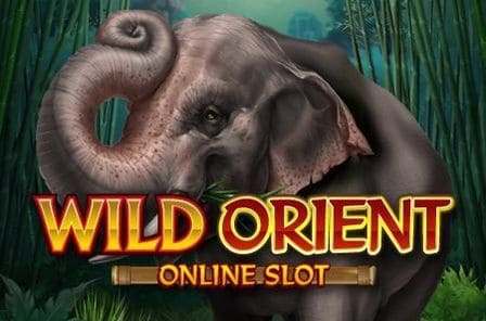 Wild Orient Slot Game Free Play at Casino Ireland