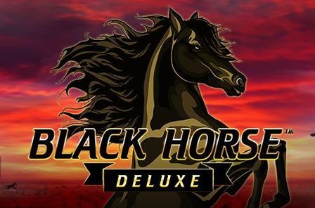 Black Horse Deluxe Slot Game Free Play at Casino Ireland