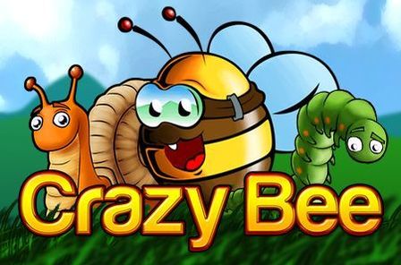 Crazy Bee Slot Game Free Play at Casino Ireland