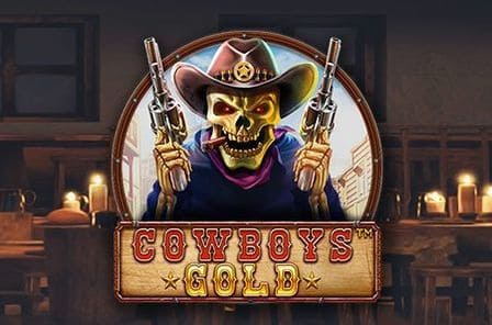 Cowboys Gold Slot Game Free Play at Casino Ireland