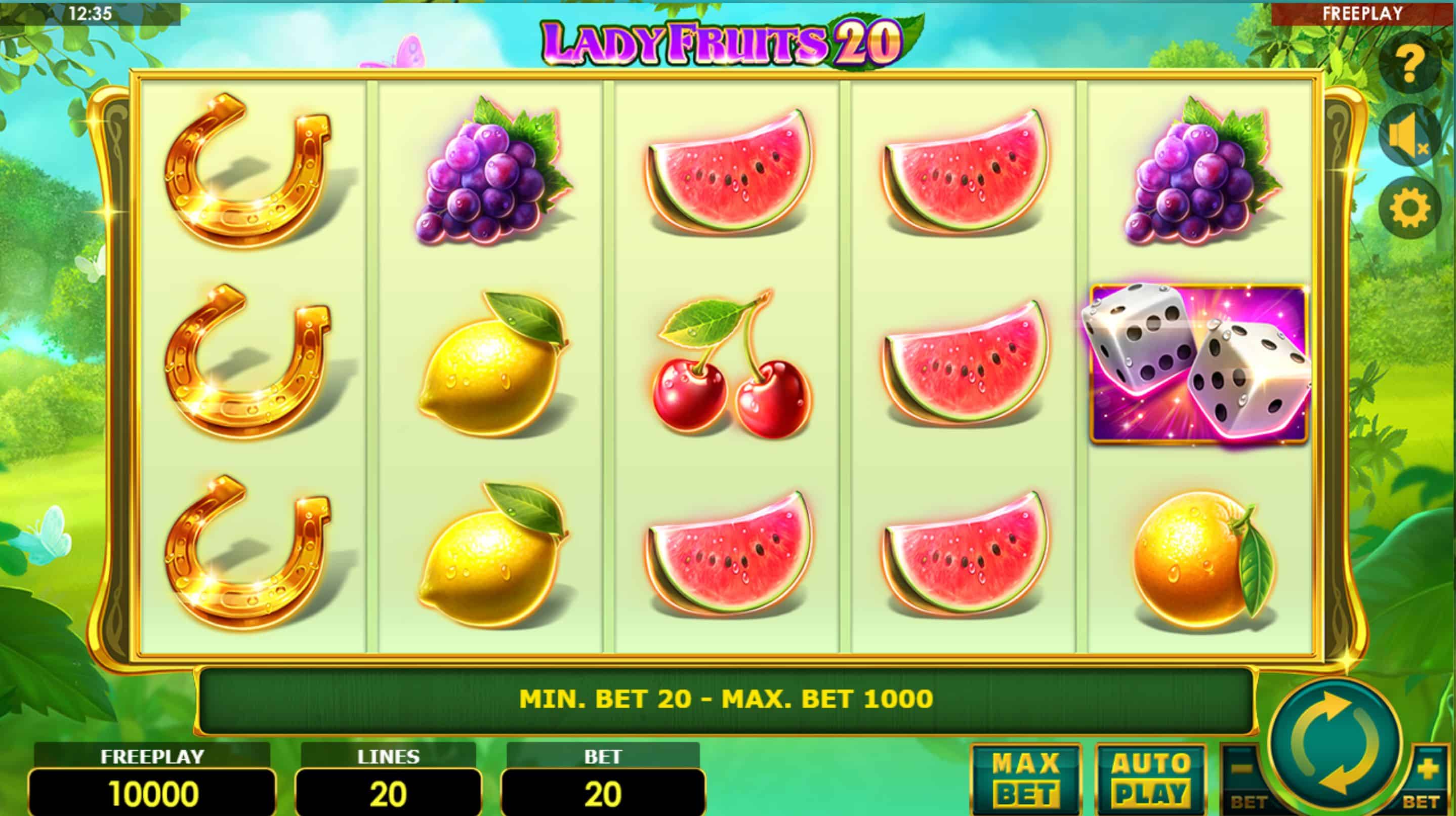 Lady Fruits 20 Slot Game Free Play at Casino Ireland 01