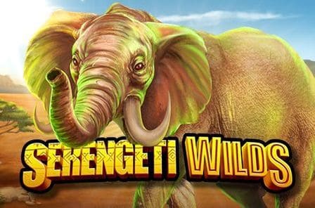 Serengeti Wilds Slot Game Free Play at Casino Ireland