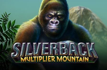 Silverback Multiplier Mountain Slot Game Free Play at Casino Ireland