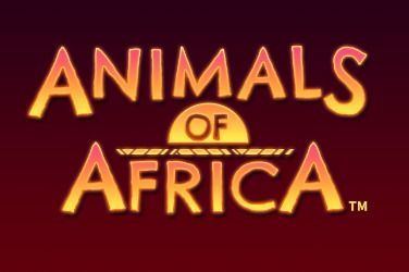 Animals of Africa Slot Game Free Play at Casino Ireland