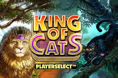 King of Cats Slot Game Free Play at Casino Ireland
