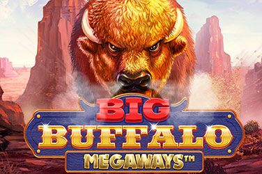 Big Buffalo Megaways Slot Game Free Play at Casino Ireland