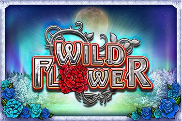Wild Flower Slot Game Free Play at Casino Ireland