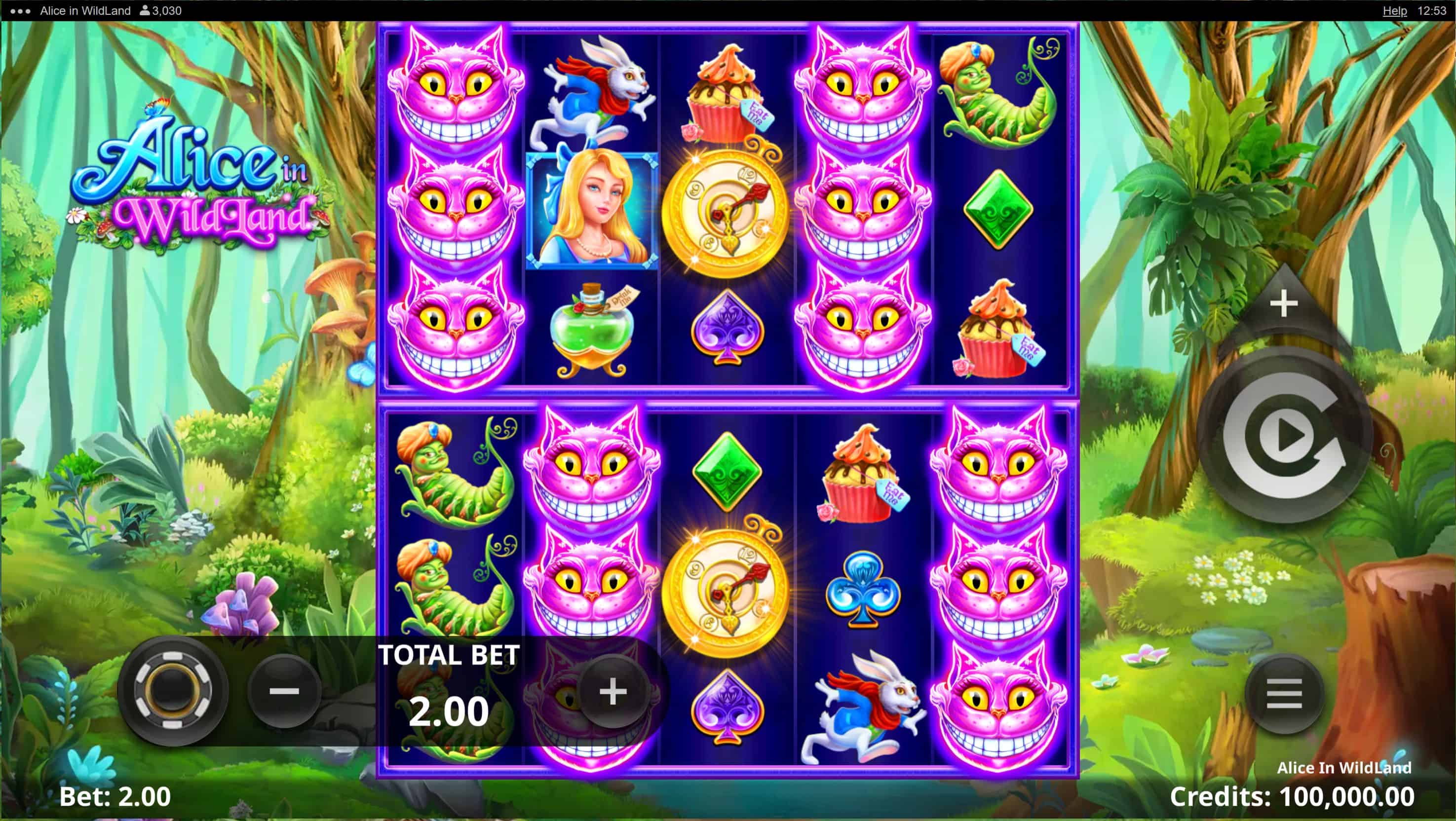 Alice in WildLand Slot Game Free Play at Casino Ireland 01