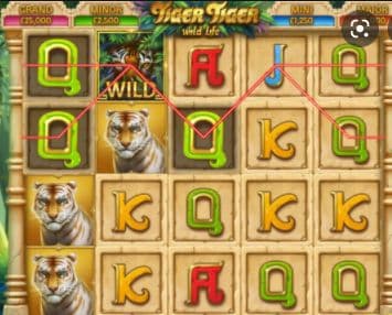 Tiger Tiger Wild Life Slot Game Free Play at Casino Ireland 01