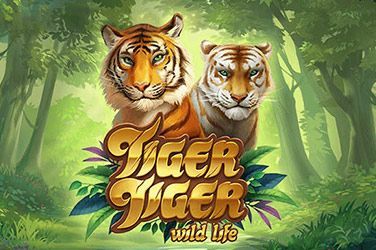 Tiger Tiger Wild Life Slot Game Free Play at Casino Ireland